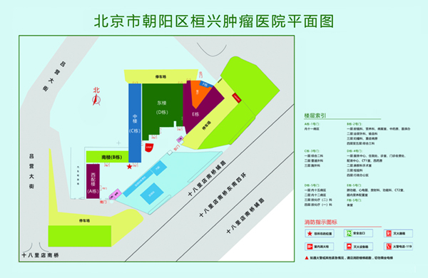 操农村老骚B视频北京市朝阳区桓兴肿瘤医院平面图